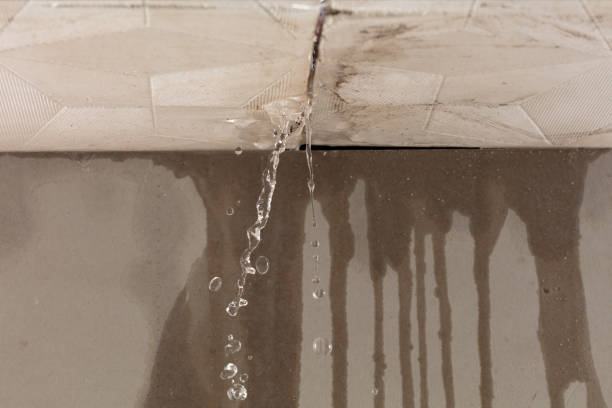 Professional Water Extraction technician working in Saint Nazianz, WI